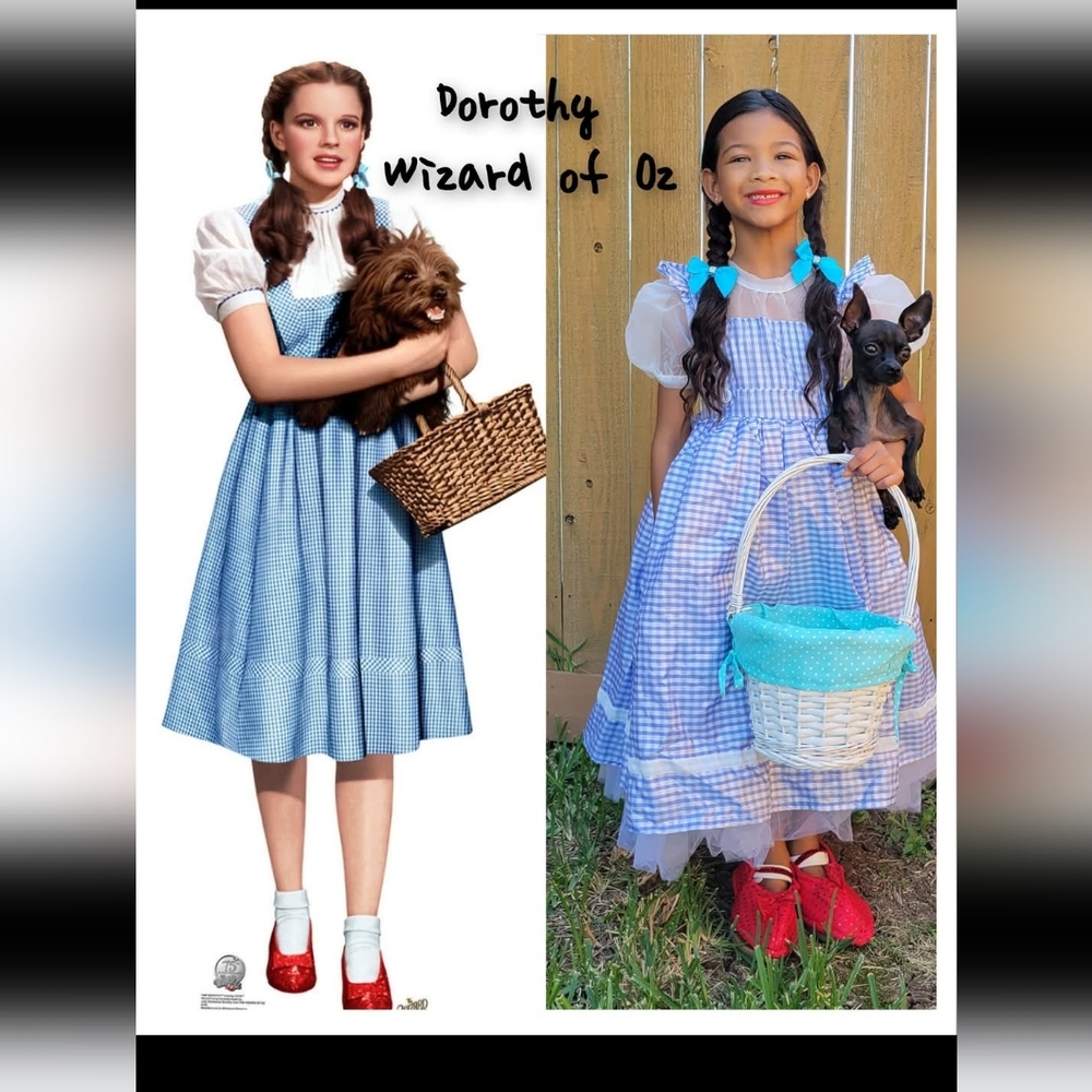 Wizard Of OZ Dorothy Kids Costume - Picture 9 of 10